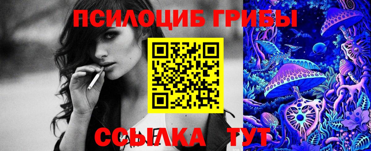 Псилоцибиновые грибы прущие грибы  наркота  Каменск-Уральский  Вход с VPN 