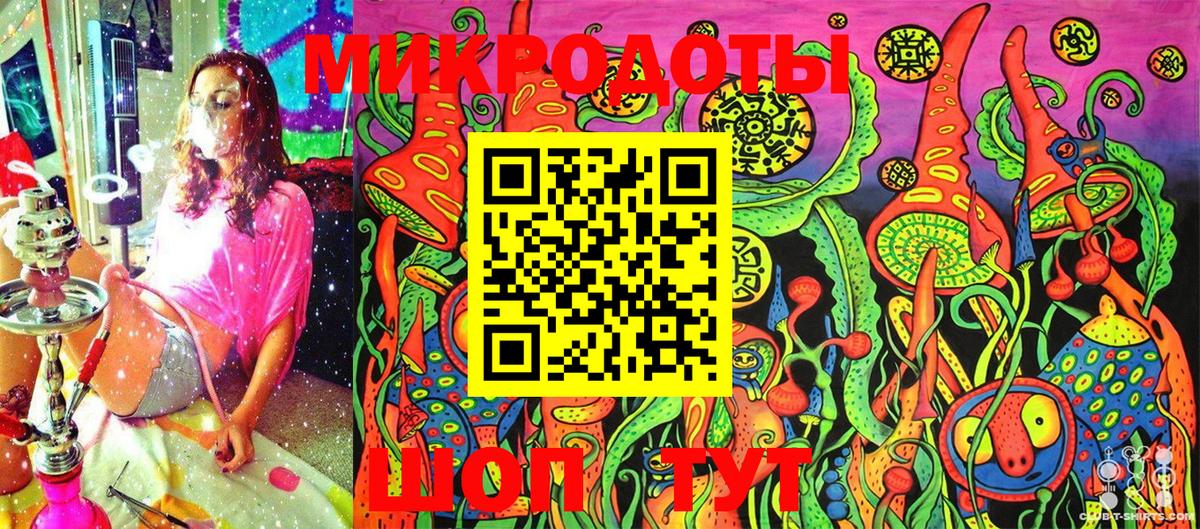 Галлюциногенные грибы Psilocybine cubensis Каменск-Уральский
